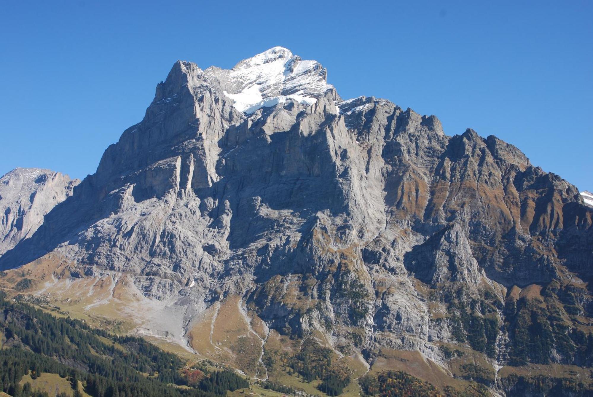 Hotel Bluemlisalp Grindelwald Exterior photo