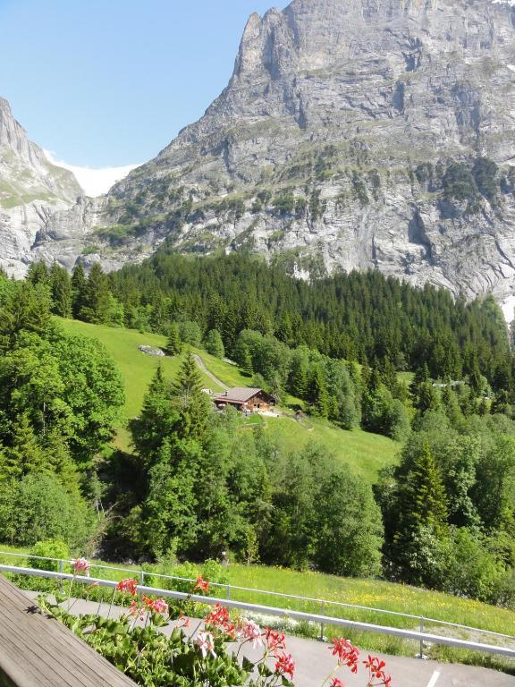 Hotel Bluemlisalp Grindelwald Exterior photo